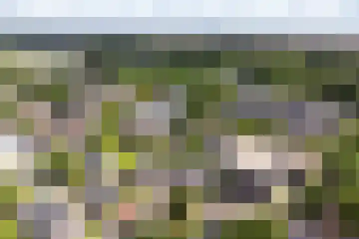 Broederijweg 4 Uddel thumbnail 33