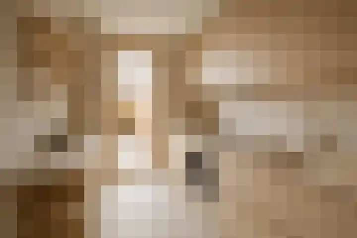 Broedersbouw 5 Middenbeemster thumbnail 13