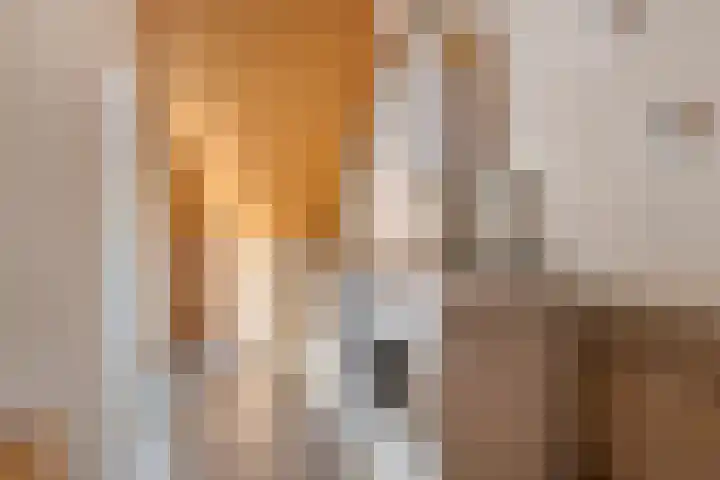 Broedersbouw 5 Middenbeemster thumbnail 22