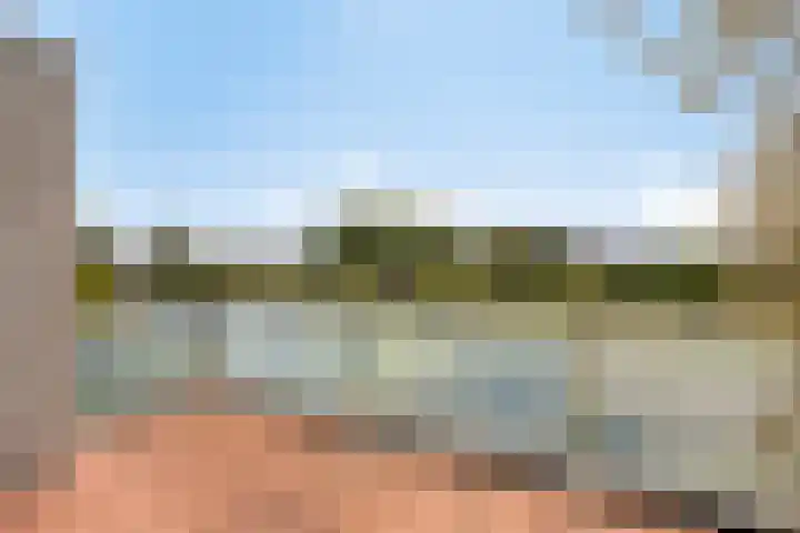 Broederschap 33 Zwolle thumbnail 14