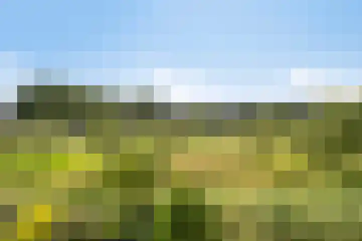 Broederschap 33 Zwolle thumbnail 15