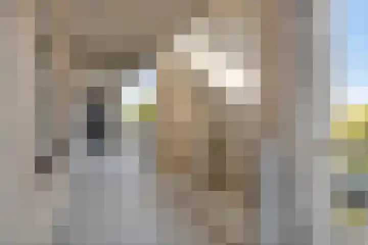 Broederschap 33 Zwolle thumbnail 26