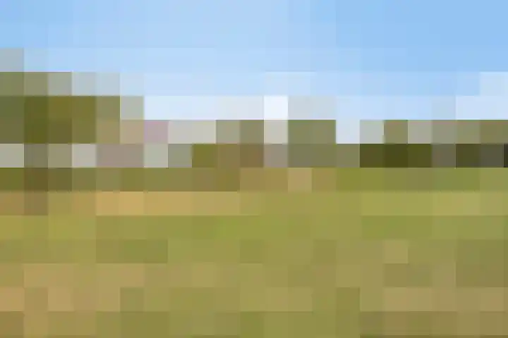 Broederschap 33 Zwolle thumbnail 32