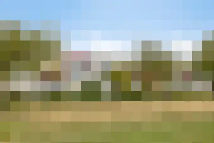 Broederschap 33 Zwolle thumbnail 33