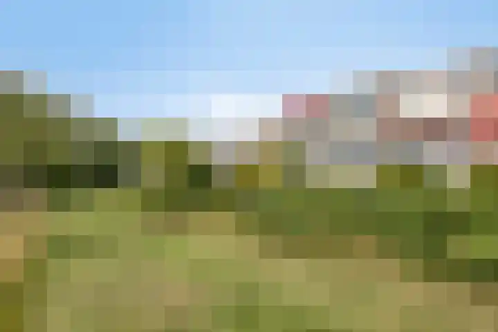 Broederschap 33 Zwolle thumbnail 34