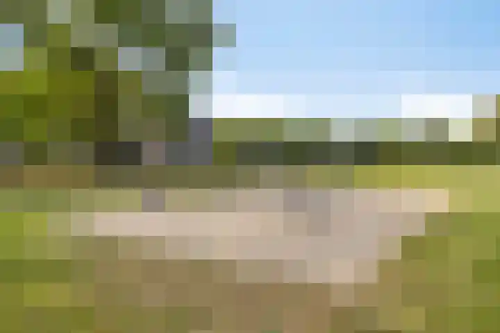 Broederschap 33 Zwolle thumbnail 35
