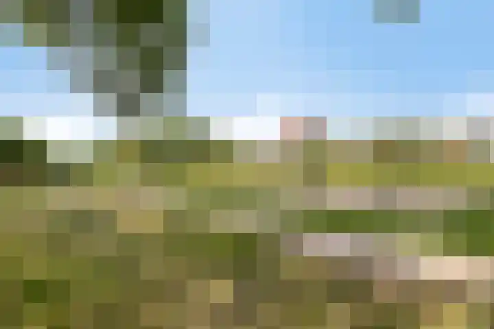 Broederschap 33 Zwolle thumbnail 36