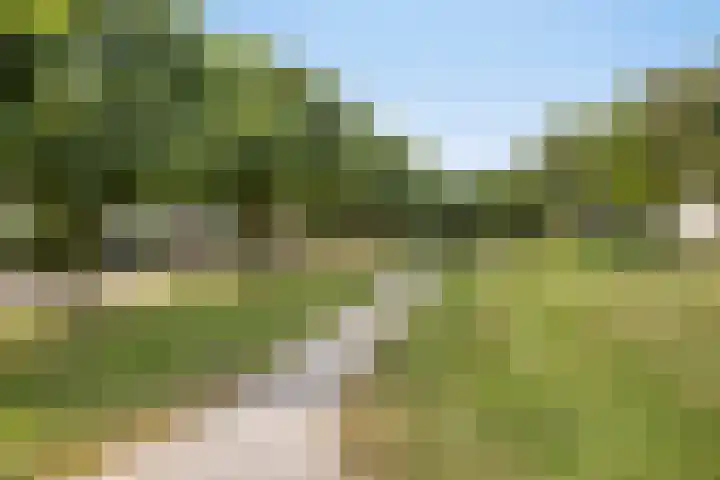 Broederschap 33 Zwolle thumbnail 37