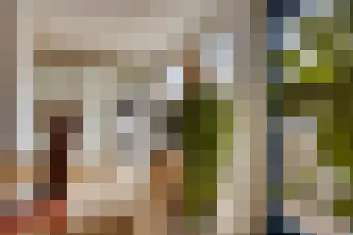 Broederschap 37 Zwolle thumbnail 14