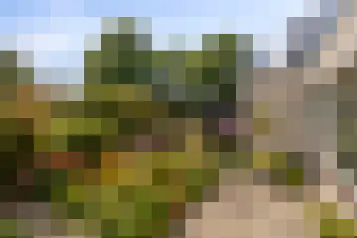 Broederschap 37 Zwolle thumbnail 25