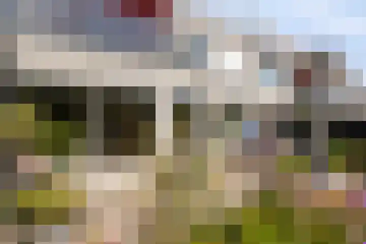 Broederschap 37 Zwolle thumbnail 27