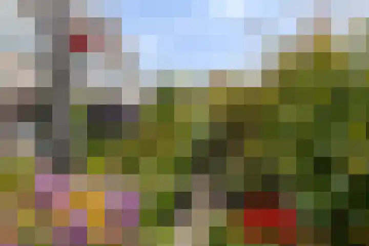 Broederschap 37 Zwolle thumbnail 28