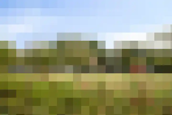 Broederschap 37 Zwolle thumbnail 29