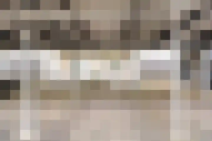 Broederschap 37 Zwolle thumbnail 30