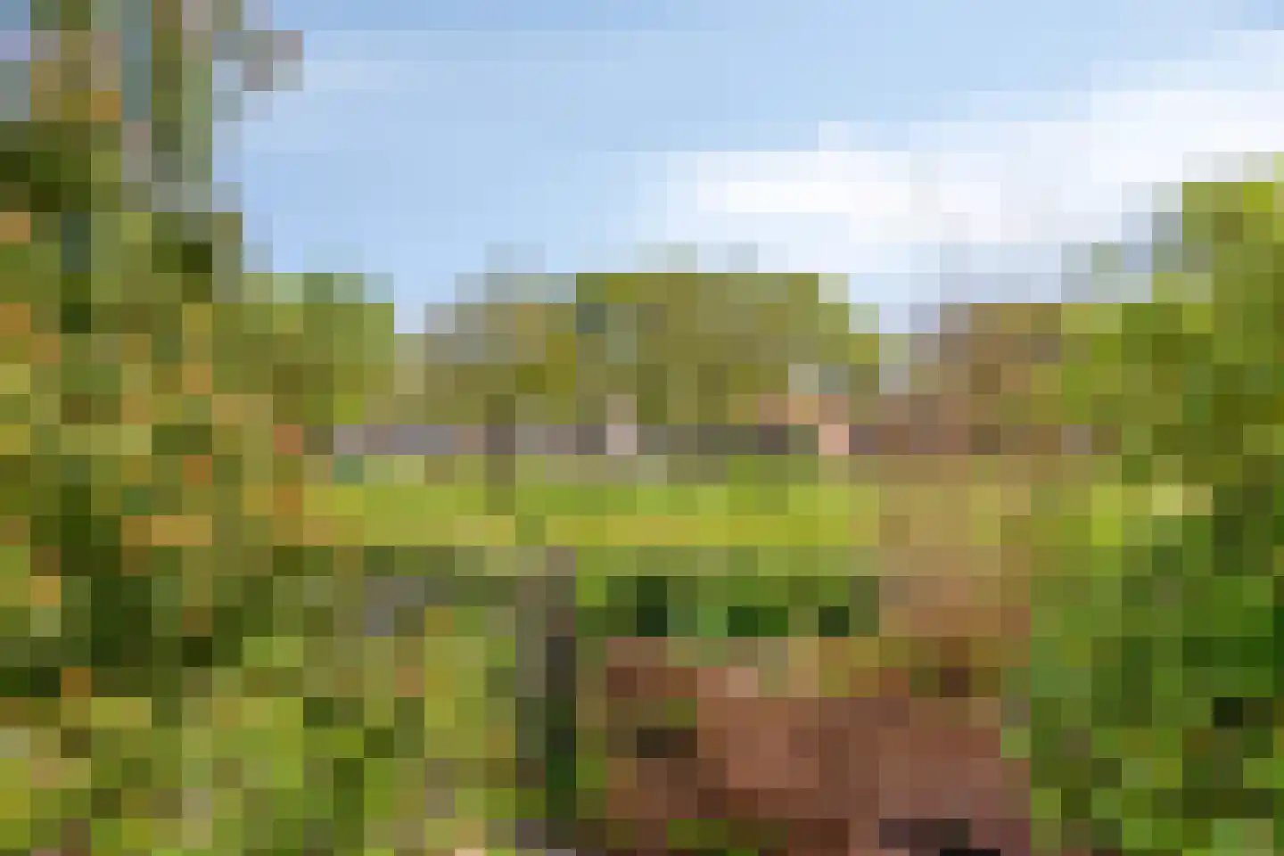 Broederschap 37 Zwolle thumbnail 33