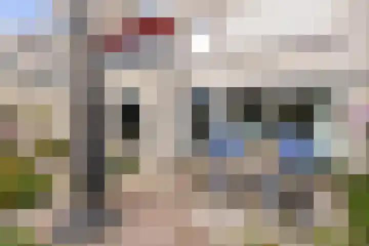 Broederschap 37 Zwolle thumbnail 4