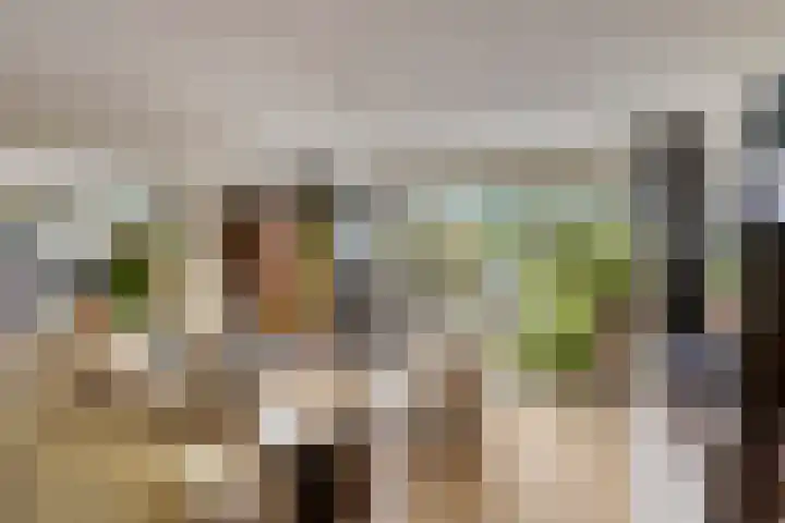 Broederschap 37 Zwolle thumbnail 7
