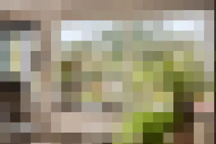 Broederschap 37 Zwolle thumbnail 9