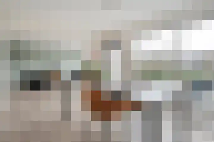 Broederschap 39 Zwolle thumbnail 14