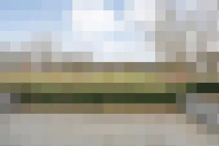 Broederschap 39 Zwolle thumbnail 26