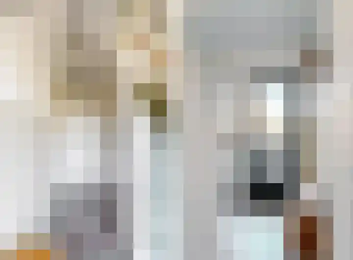 Broederschaplaan 18 Vleuten thumbnail 12
