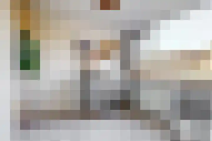 Broederschaplaan 18 Vleuten thumbnail 16