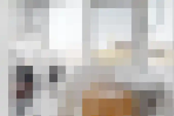 Broederschaplaan 18 Vleuten thumbnail 17