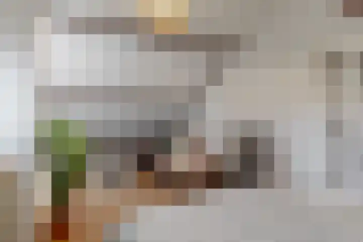 Broederschaplaan 18 Vleuten thumbnail 24