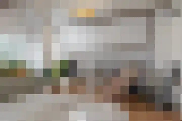 Broederschaplaan 18 Vleuten thumbnail 25
