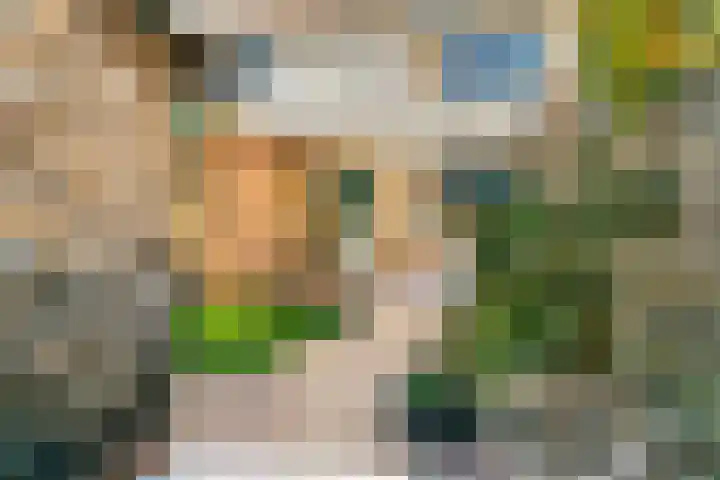 Broederschaplaan 18 Vleuten thumbnail 33