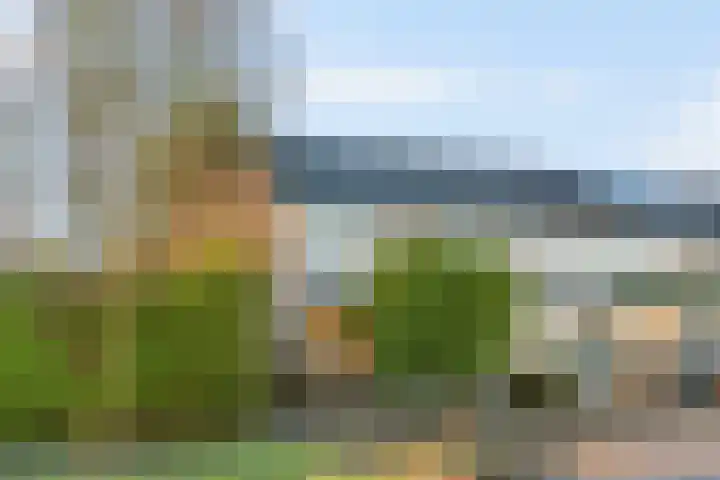 Broederschaplaan 18 Vleuten thumbnail 36