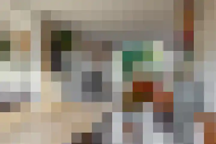 Broederschaplaan 18 Vleuten thumbnail 4