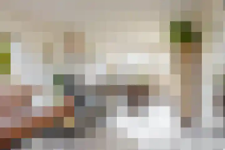 Broederschaplaan 18 Vleuten thumbnail 5
