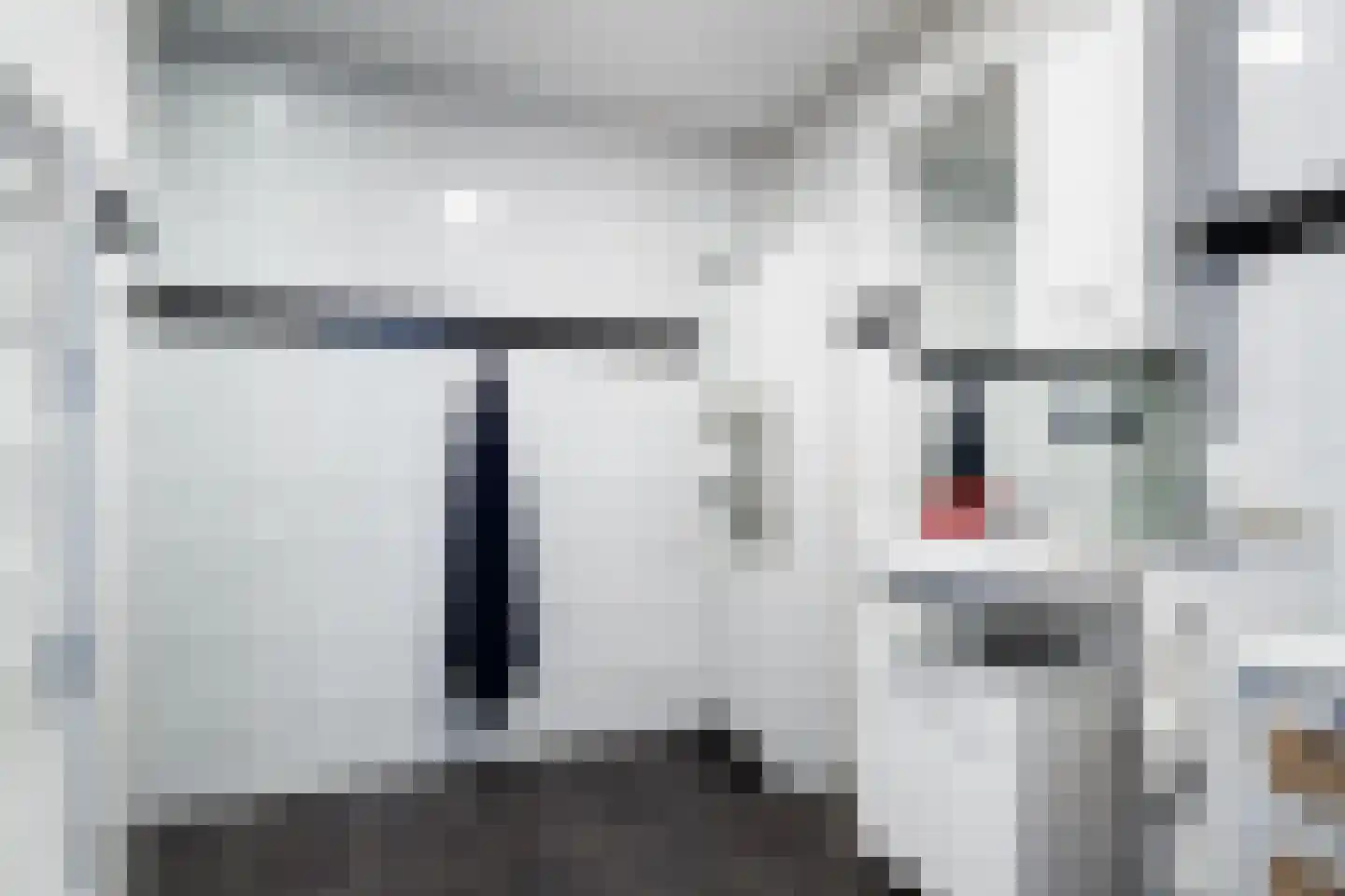 Broederschaplaan 37 A Vleuten thumbnail 15