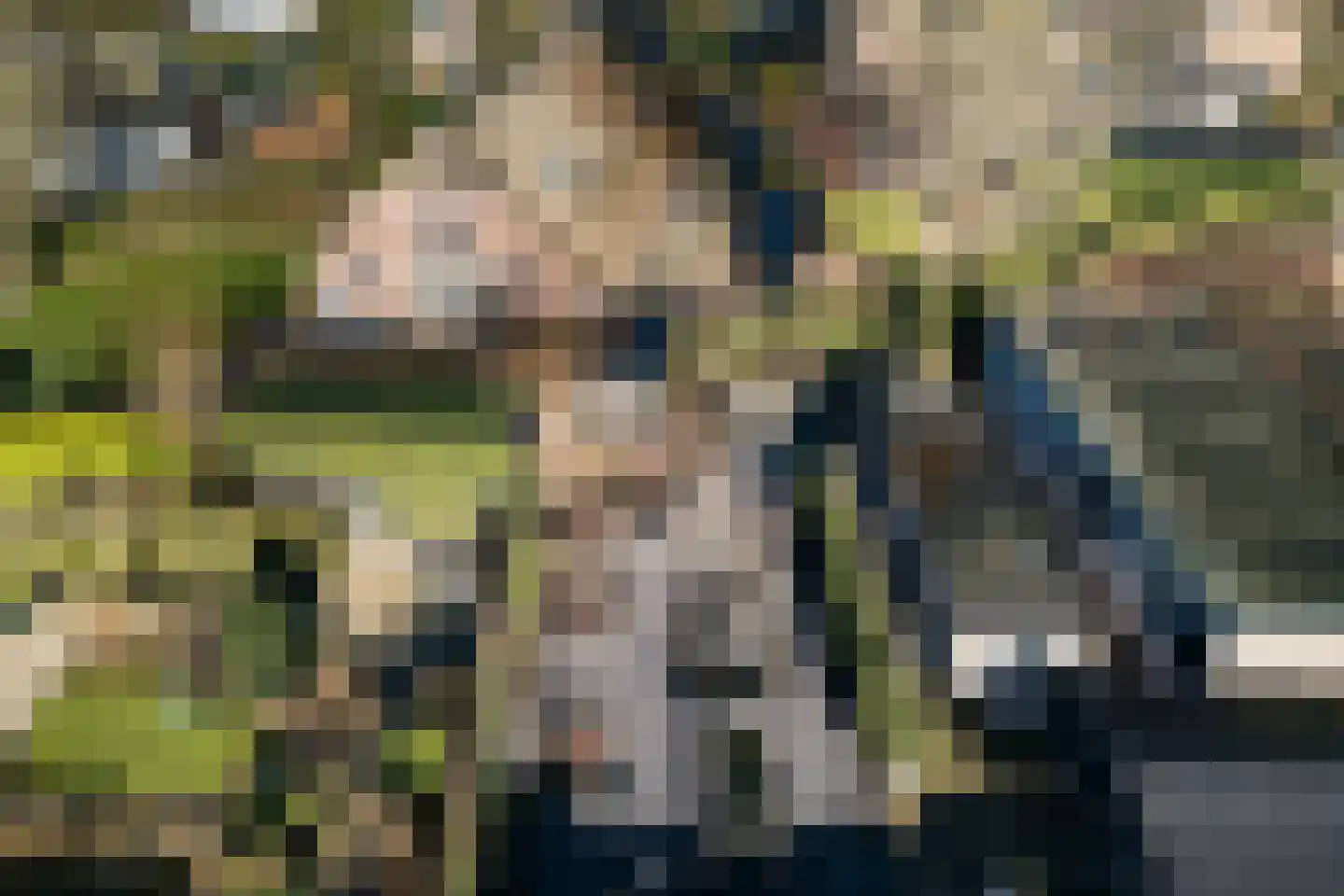 Broederschaplaan 37 A Vleuten thumbnail 36