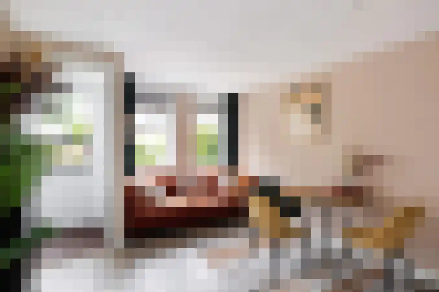 Broederschapsland 3 Woudenberg thumbnail 35