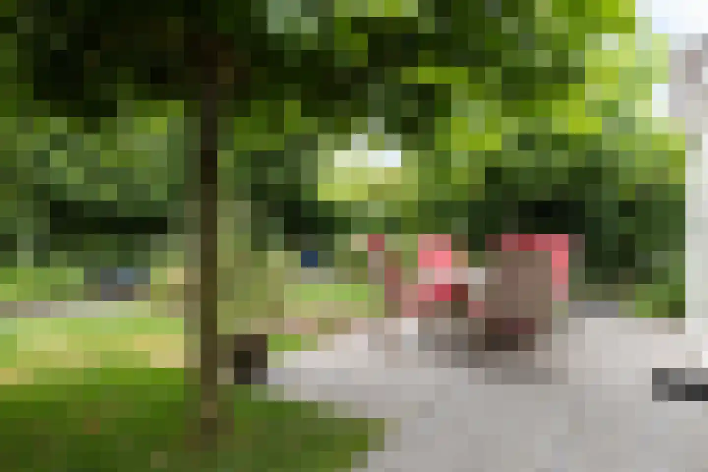 Broederschapsland 3 Woudenberg thumbnail 45