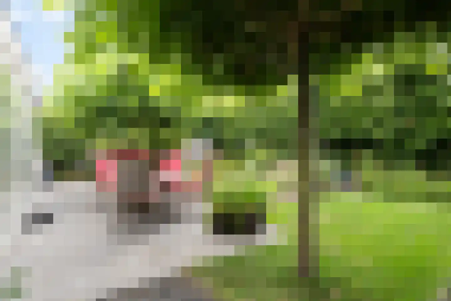 Broederschapsland 3 Woudenberg thumbnail 46