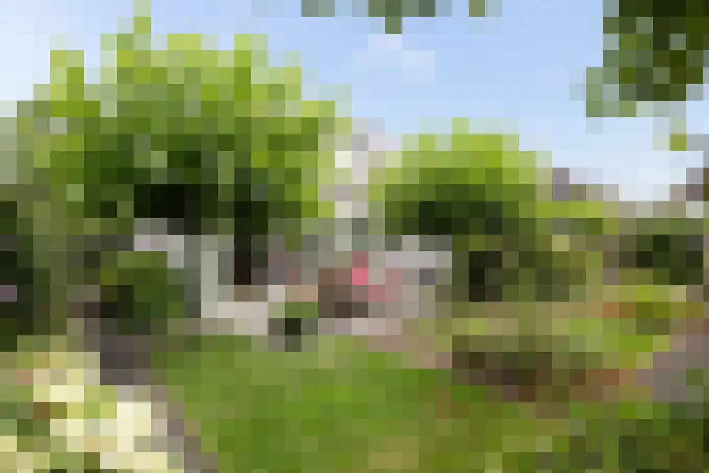 Broederschapsland 3 Woudenberg thumbnail 47