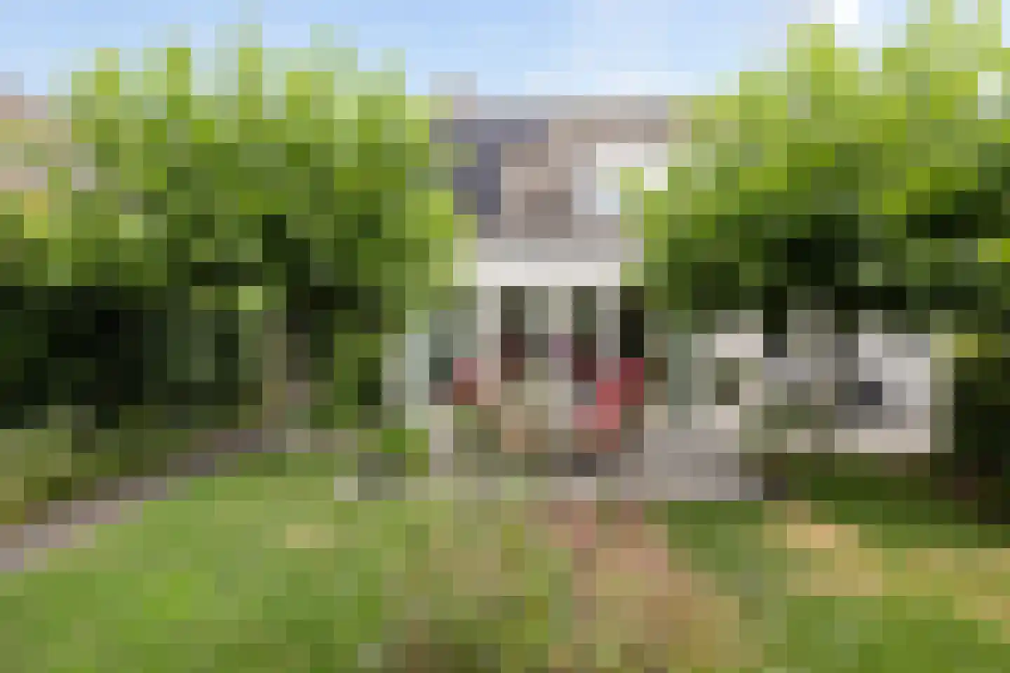 Broederschapsland 3 Woudenberg thumbnail 48