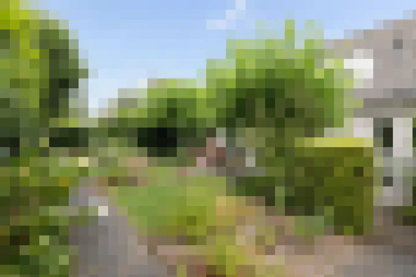 Broederschapsland 3 Woudenberg thumbnail 49