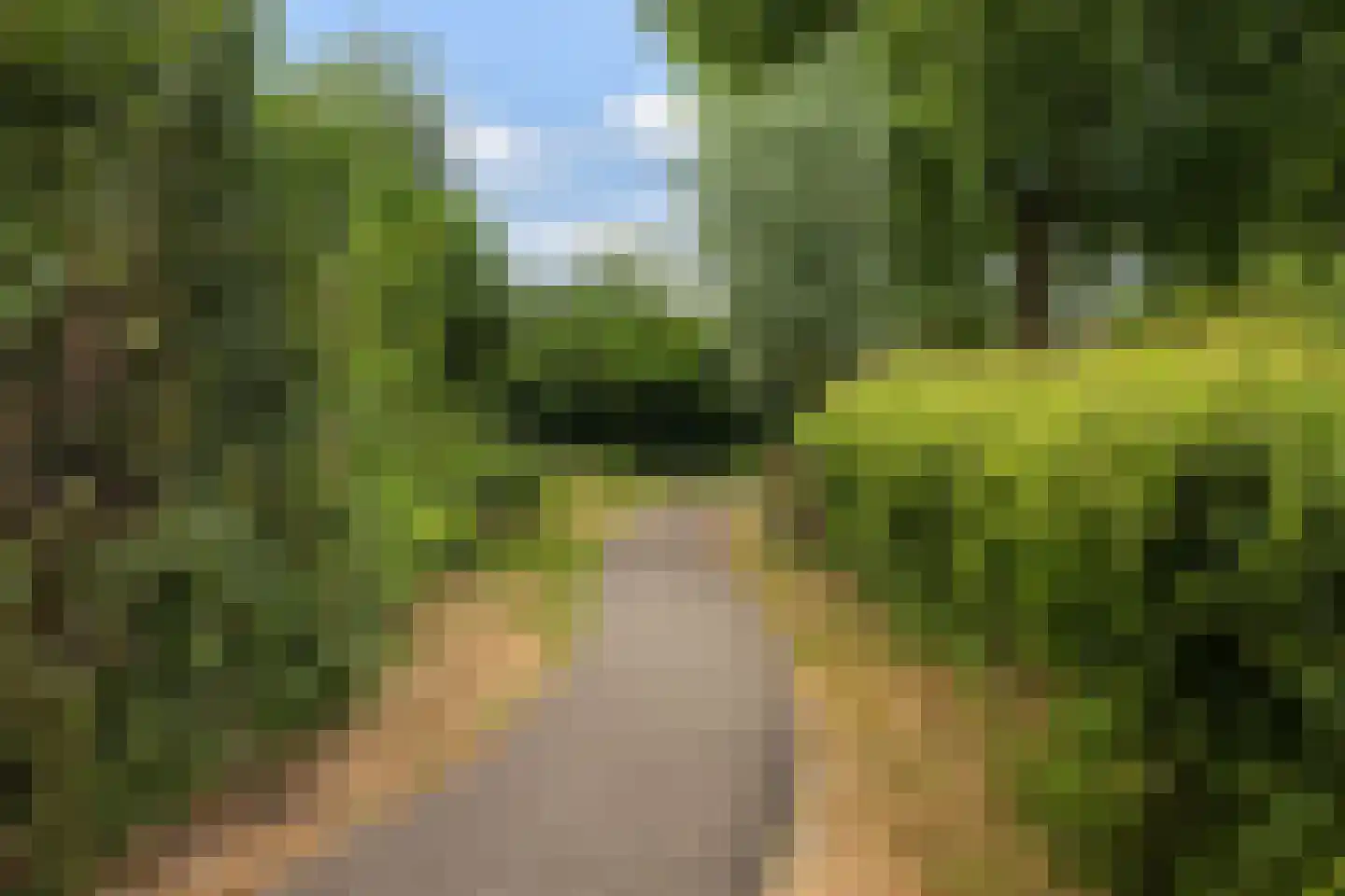 Broederschapsland 3 Woudenberg thumbnail 50