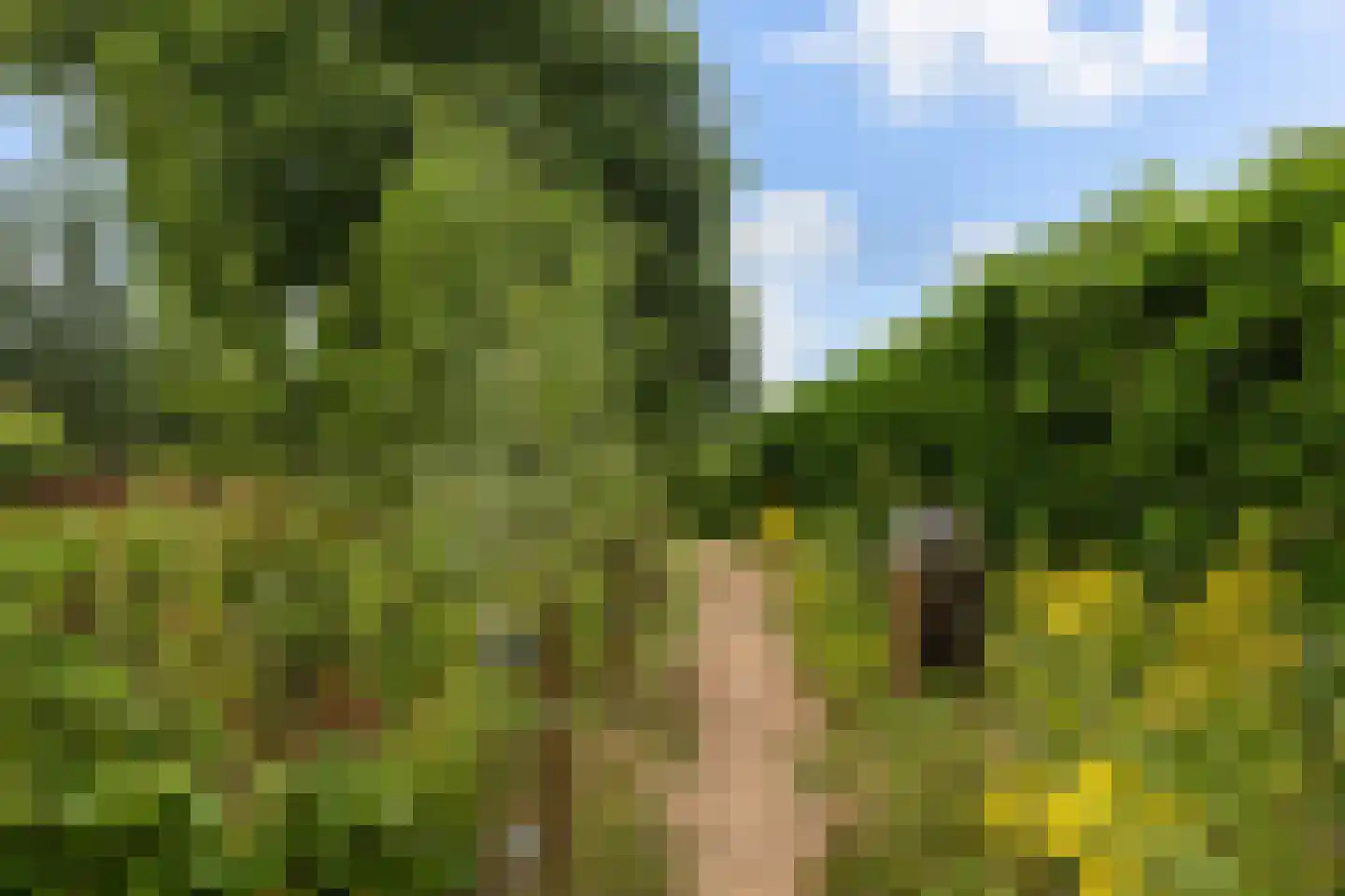 Broederschapsland 3 Woudenberg thumbnail 51