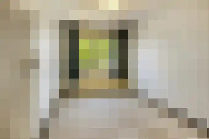 Broedersdijk 11 Rijssen thumbnail 20