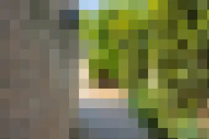 Broedersdijk 11 Rijssen thumbnail 25