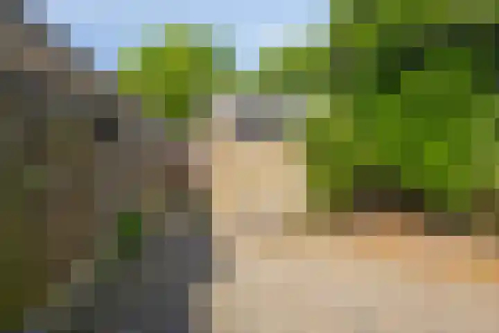 Broedersdijk 11 Rijssen thumbnail 27