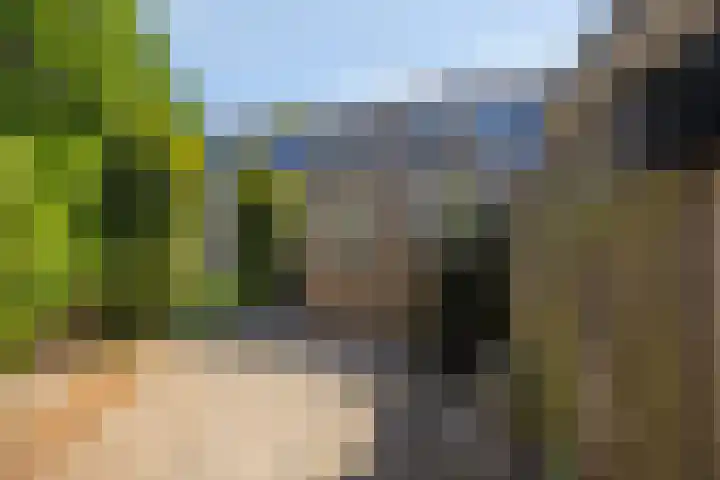 Broedersdijk 11 Rijssen thumbnail 28