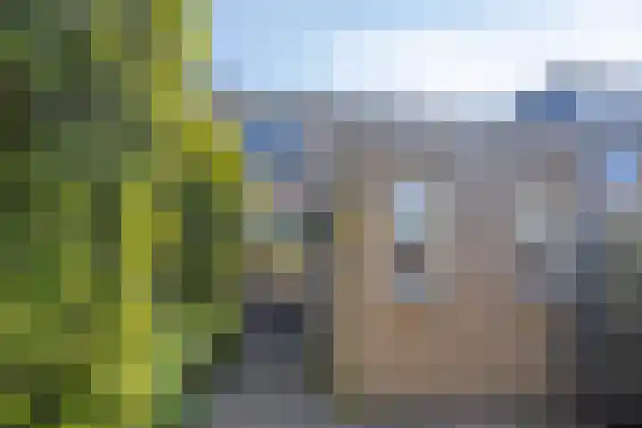Broedersdijk 11 Rijssen thumbnail 29
