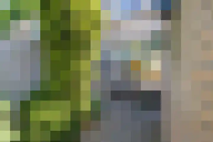 Broedersdijk 11 Rijssen thumbnail 30