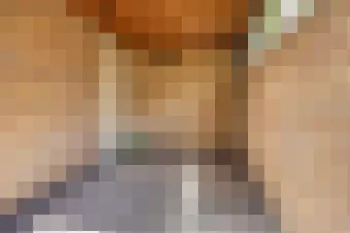 Broedersdijk 11 Rijssen thumbnail 31